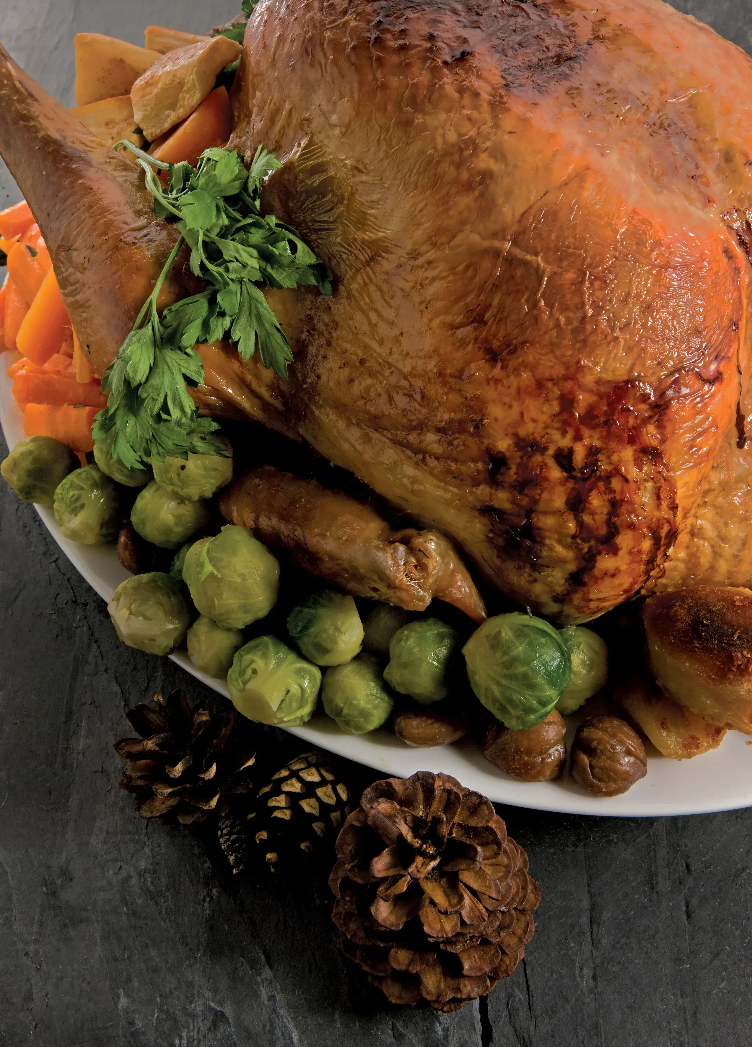 Traditional Roast Turkey with Chestnut Stuffing AGA Living